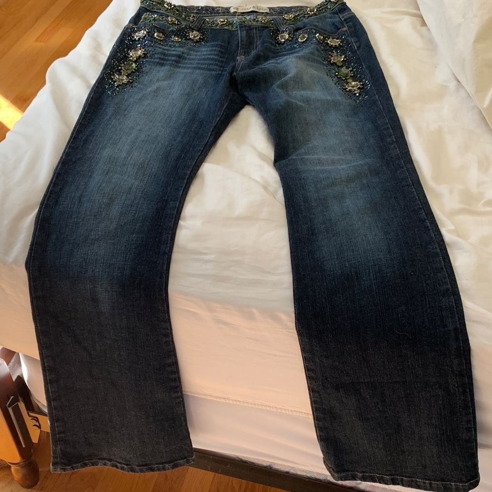 RARE FIND! Rosa & Rose Embellished Blue Jeans size Large - Picture 2 of 7